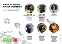 Hunde im Einsatz für den Artenschutz